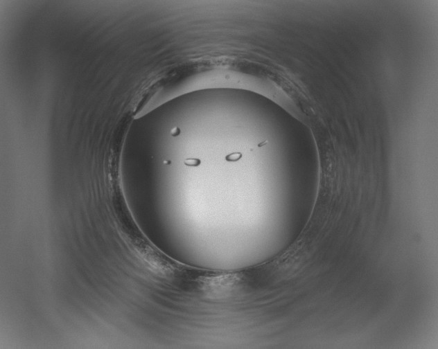 X0000052650122200507011423