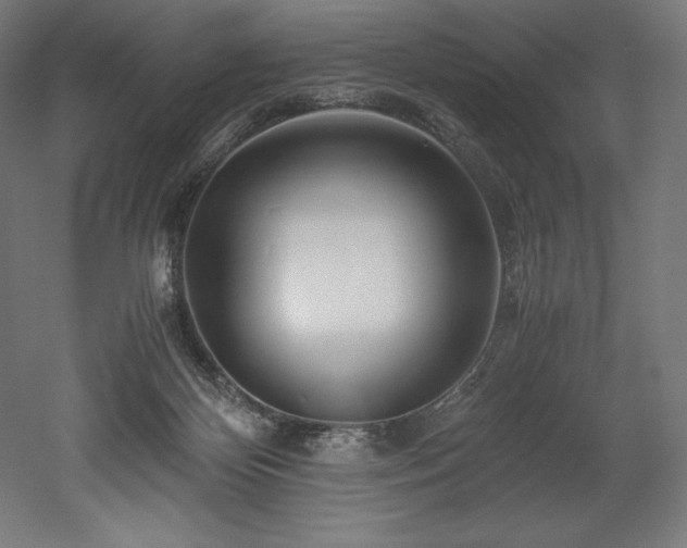 X0000052650124200507011423