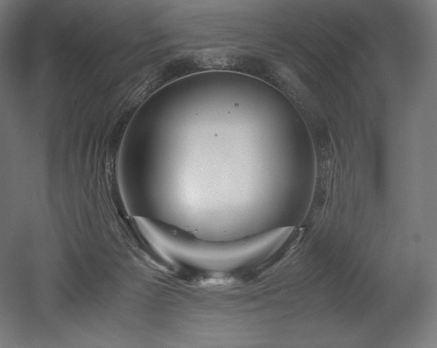 X0000052650125200507011422