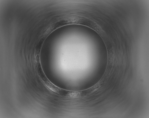 X0000052650126200507011422