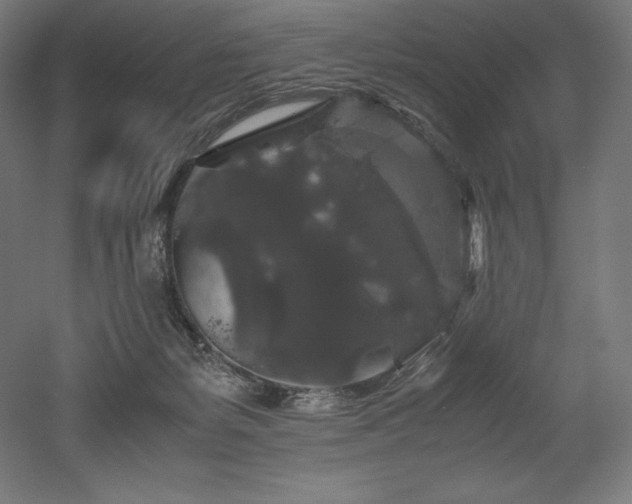 X0000052650127200507011422