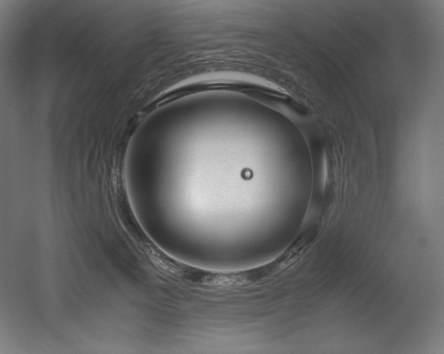 X0000052650129200507011422