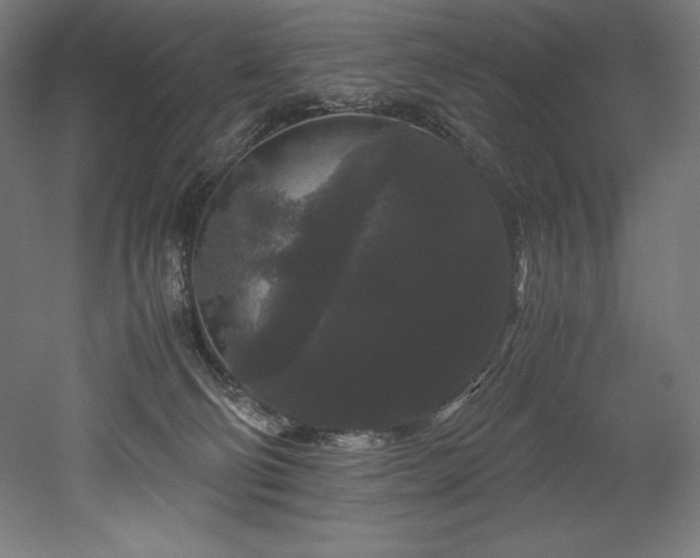 X0000052650130200507011422
