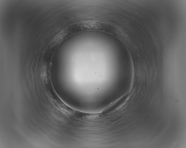 X0000052650132200507011422
