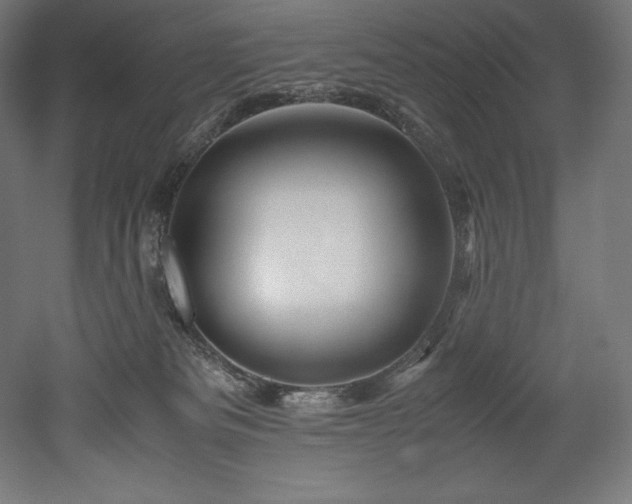 X0000052650133200507011422