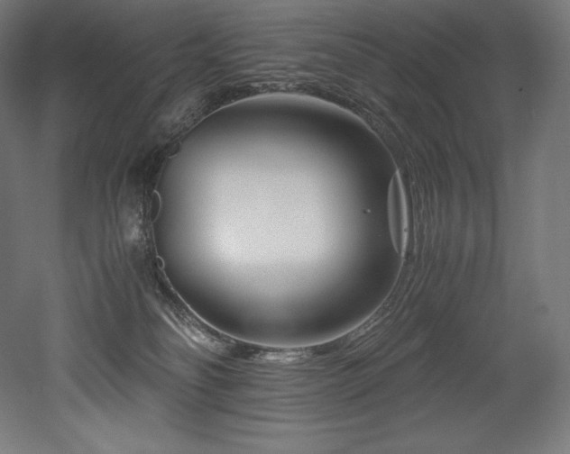 X0000052650134200507011422