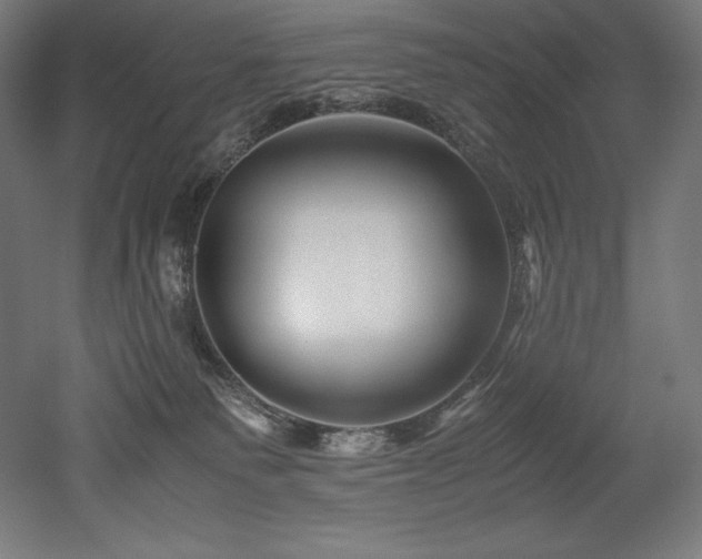 X0000052650135200507011422