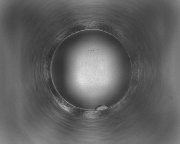 X0000052650136200507011422