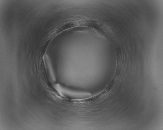 X0000052650139200507011422
