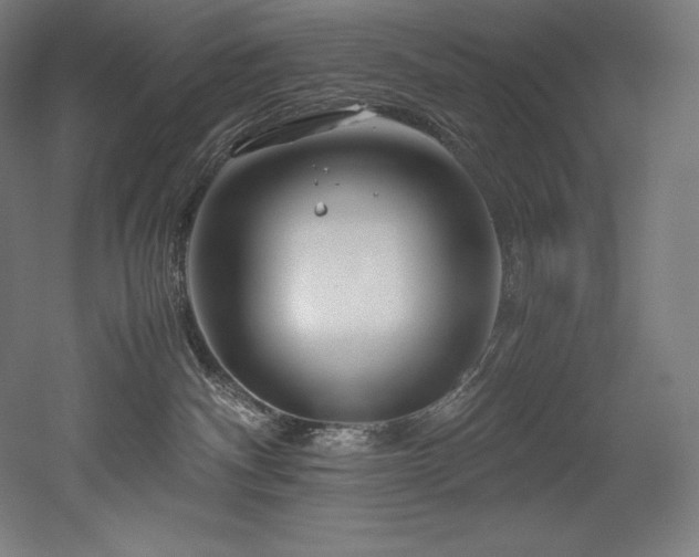 X0000052650140200507011422