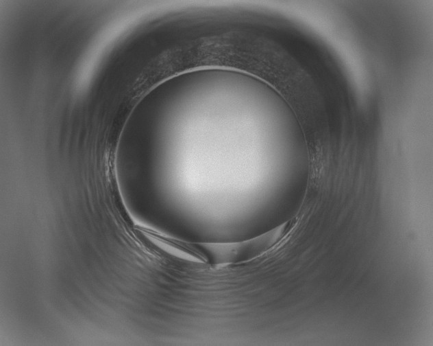 X0000052650142200507011422