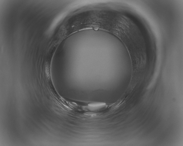 X0000052650143200507011422