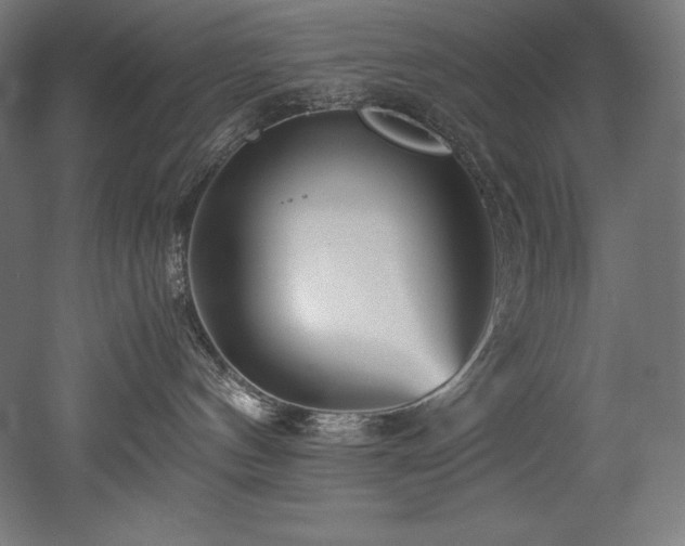 X0000052650144200507011422