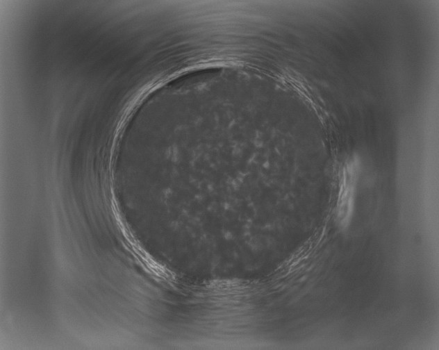 X0000052650145200507011421