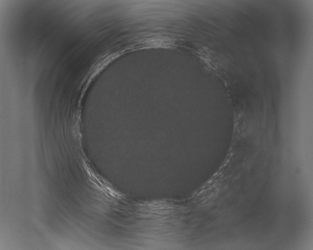 X0000052650146200507011421
