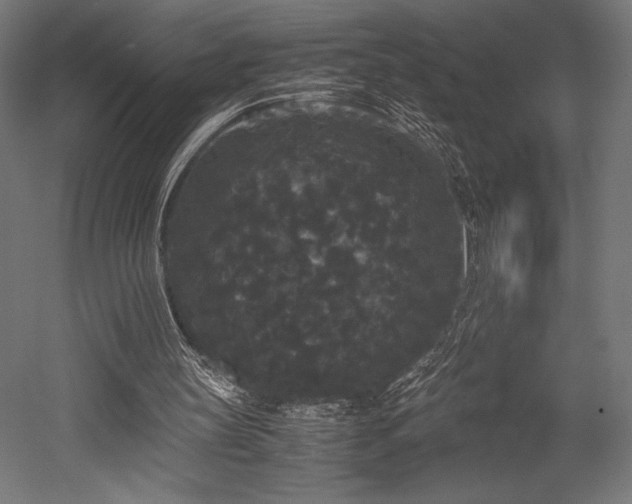 X0000052650147200507011421