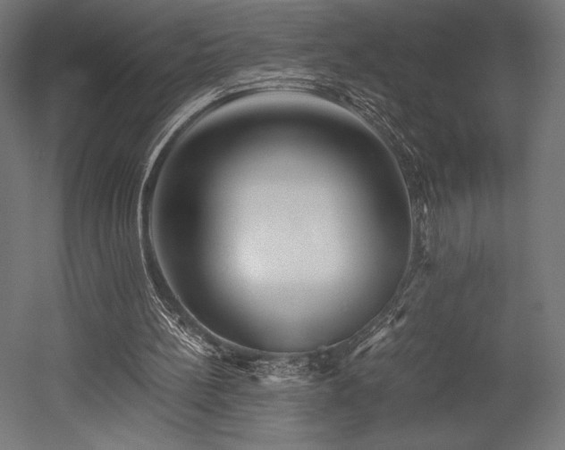 X0000052650148200507011421