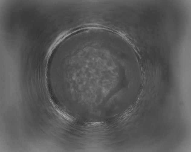 X0000052650151200507011421