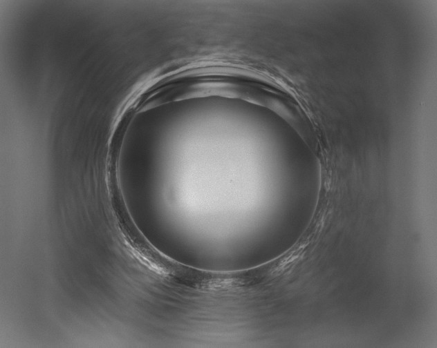 X0000052650152200507011421