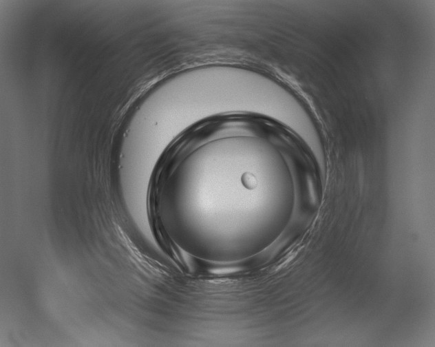X0000052650154200507011421