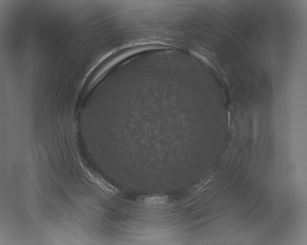 X0000052650156200507011422