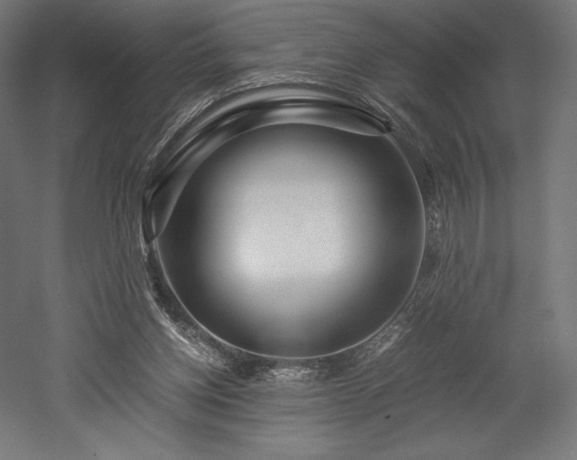 X0000052650158200507011422