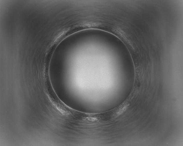X0000052650159200507011422