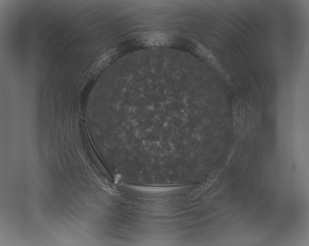 X0000052650161200507011422