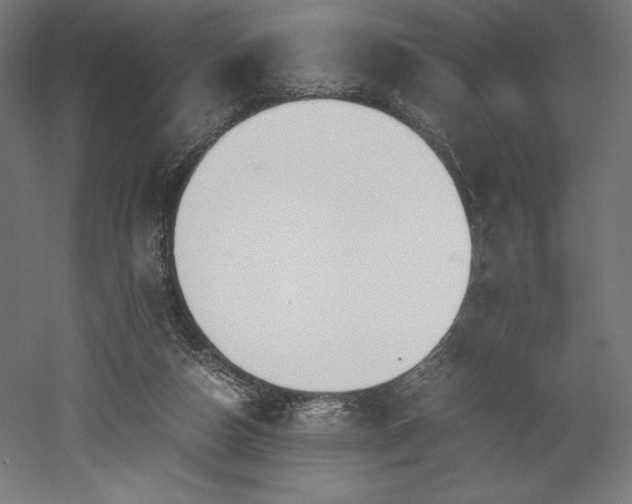 X0000052650162200507011422