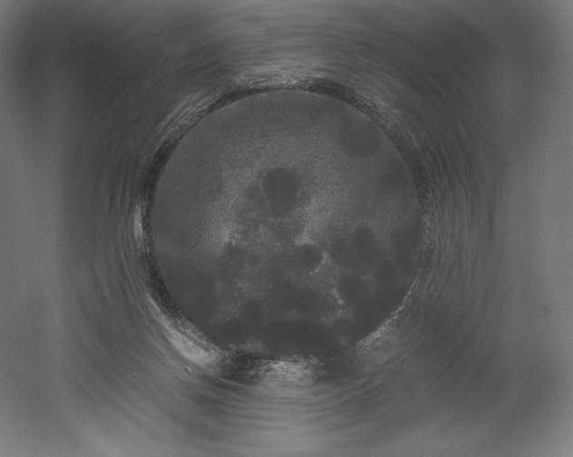 X0000052650166200507011422