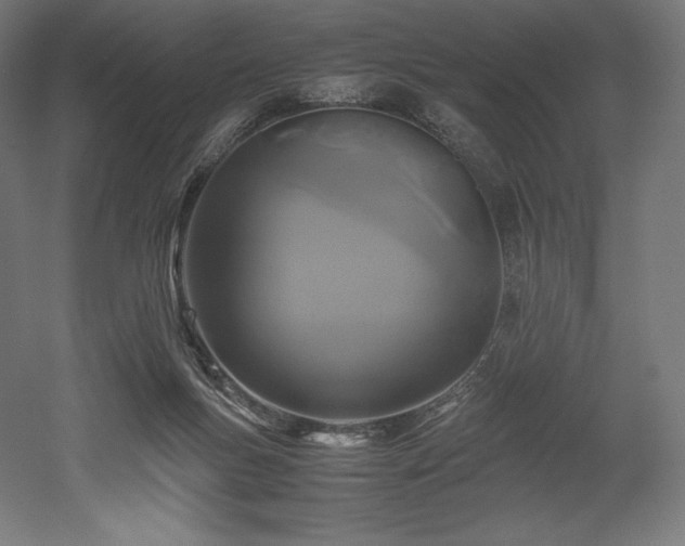 X0000052650167200507011422