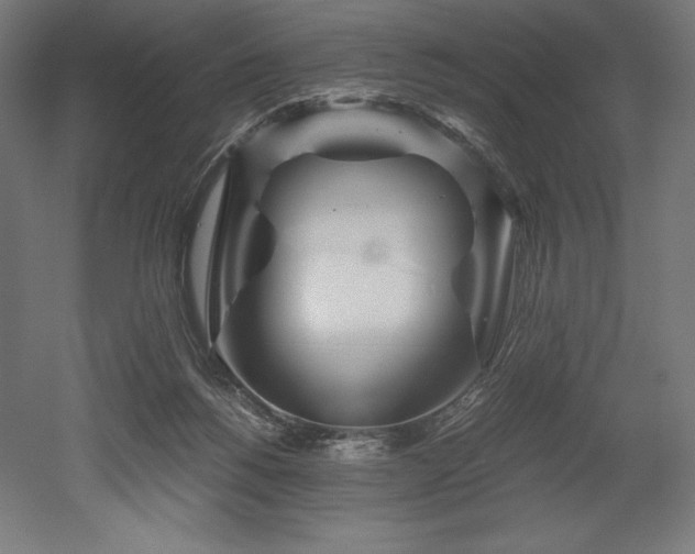 X0000052650168200507011422