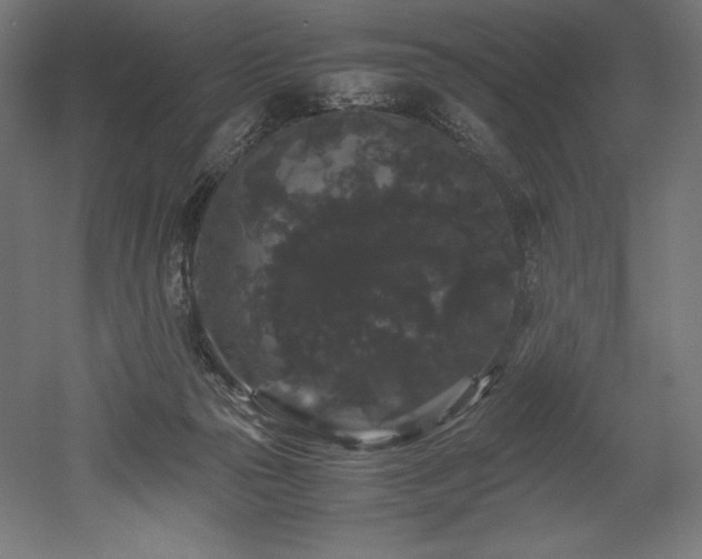 X0000052650169200507011422