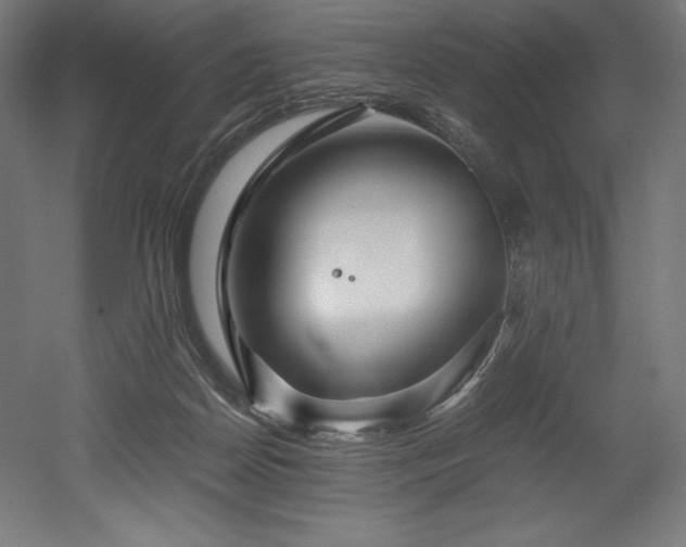 X0000052650170200507011422