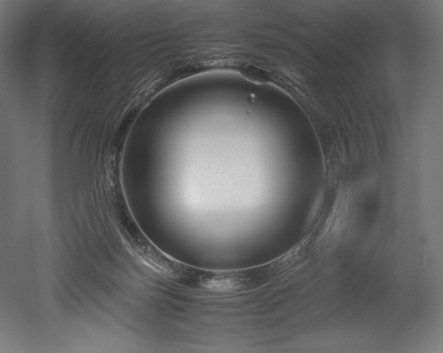 X0000052650171200507011422