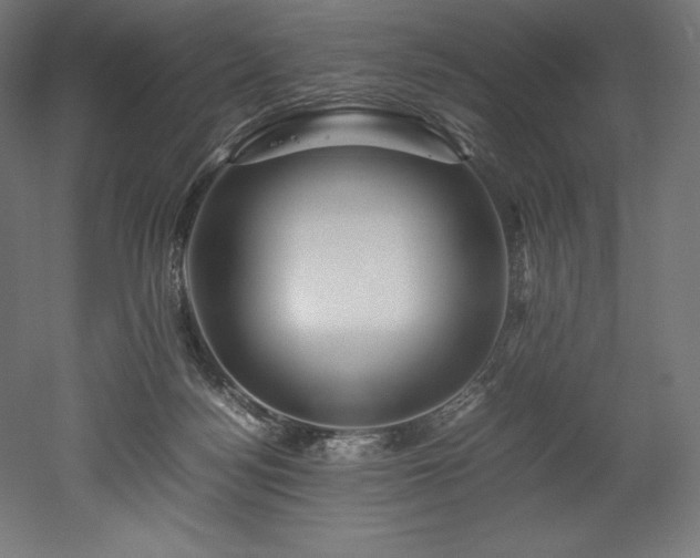 X0000052650172200507011422