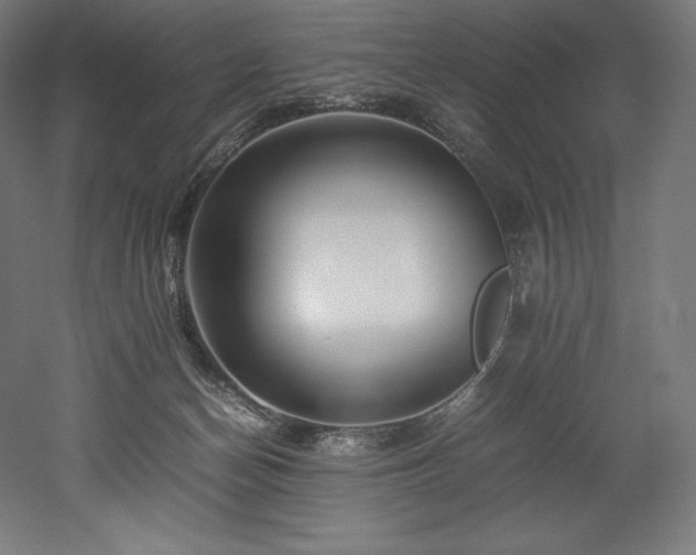 X0000052650174200507011422