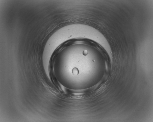 X0000052650176200507011422