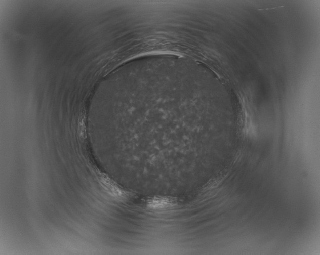 X0000052650177200507011422