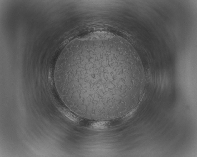 X0000052650178200507011422