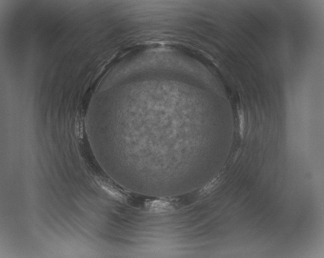 X0000052650180200507011422