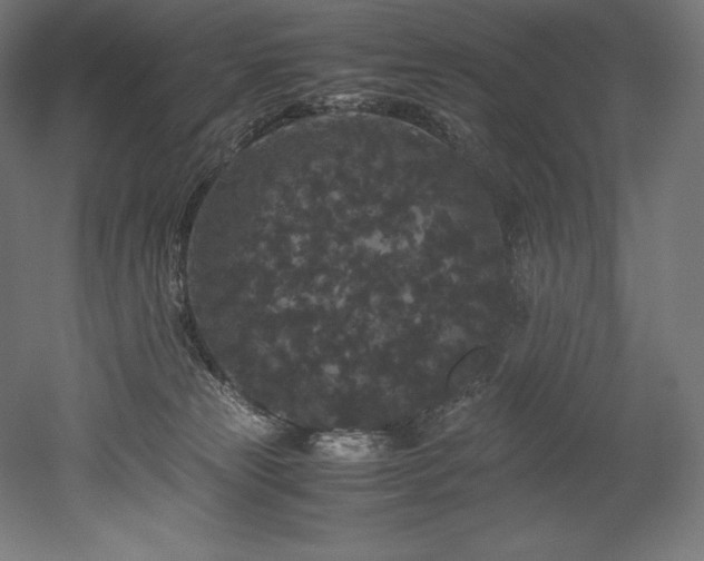 X0000052650181200507011422