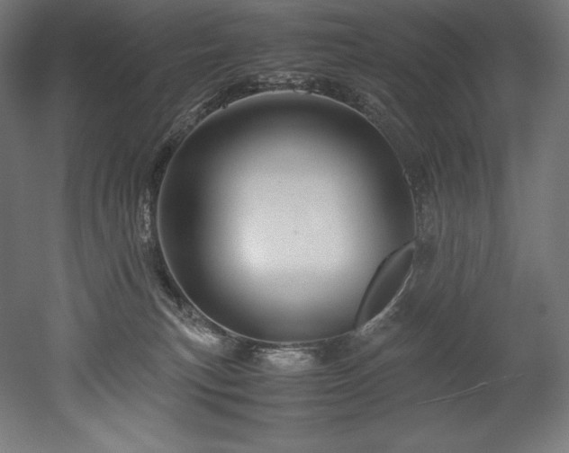 X0000052650183200507011422