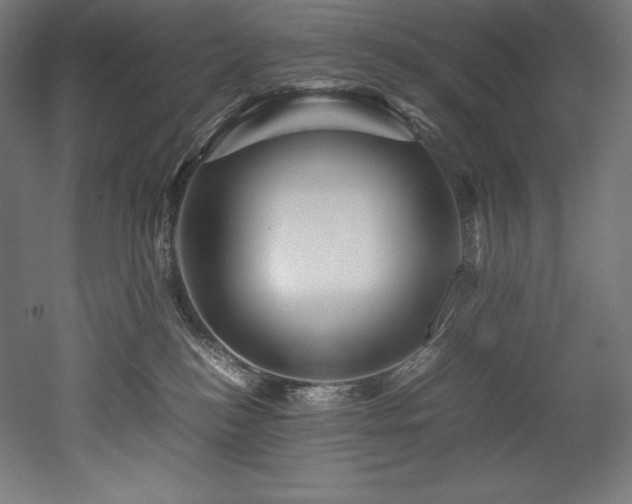 X0000052650184200507011422