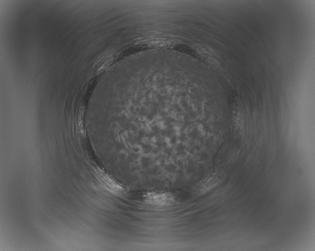 X0000052650185200507011422