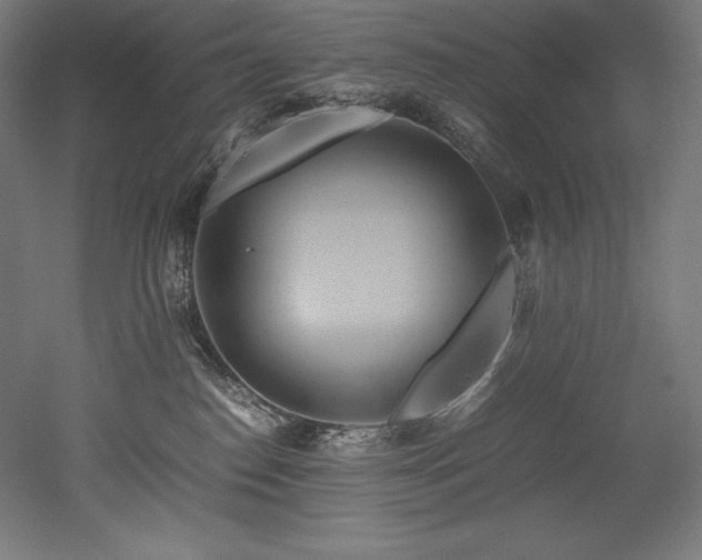 X0000052650186200507011422