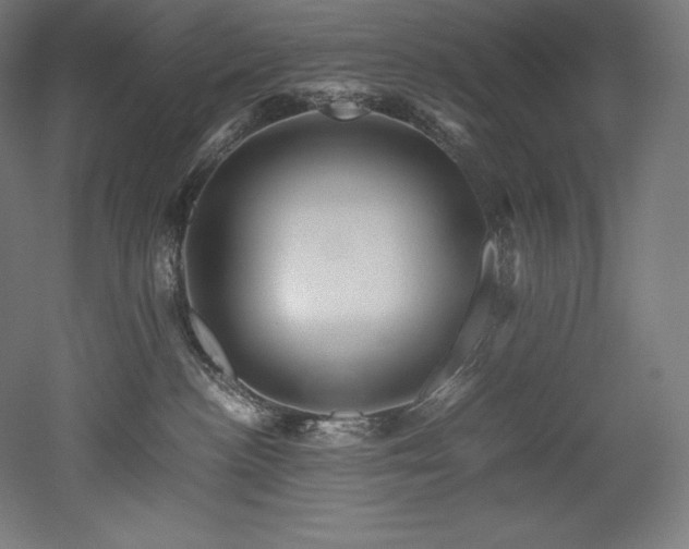 X0000052650188200507011422