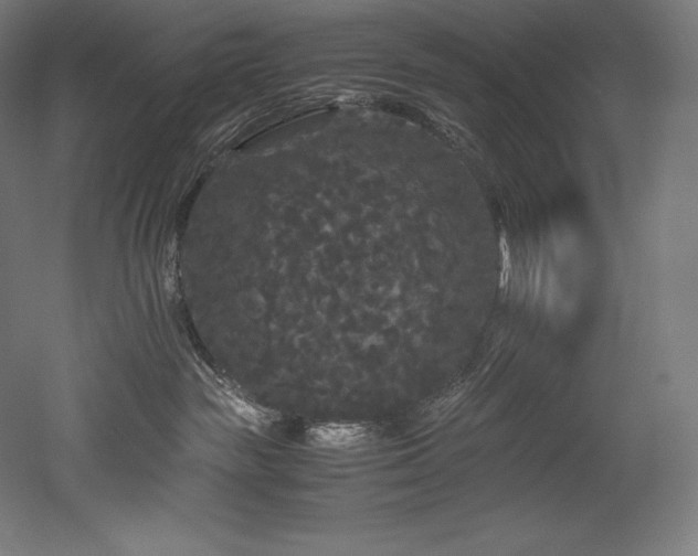 X0000052650189200507011422