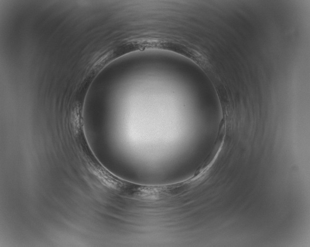 X0000052650190200507011422