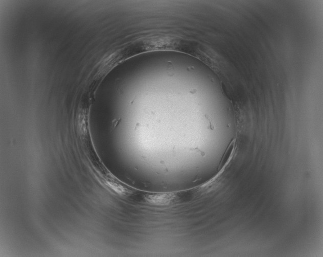 X0000052650191200507011422